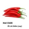 Hot Chillies Seeds -Plants Shop 1D649AB2 DD1D 4F69 AA15 B5F1631DB2BA