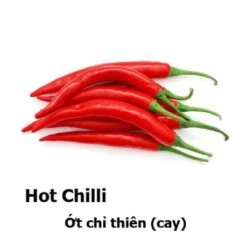 Hot Chillies Seeds