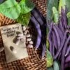 Purple King Climbing Beans Seeds