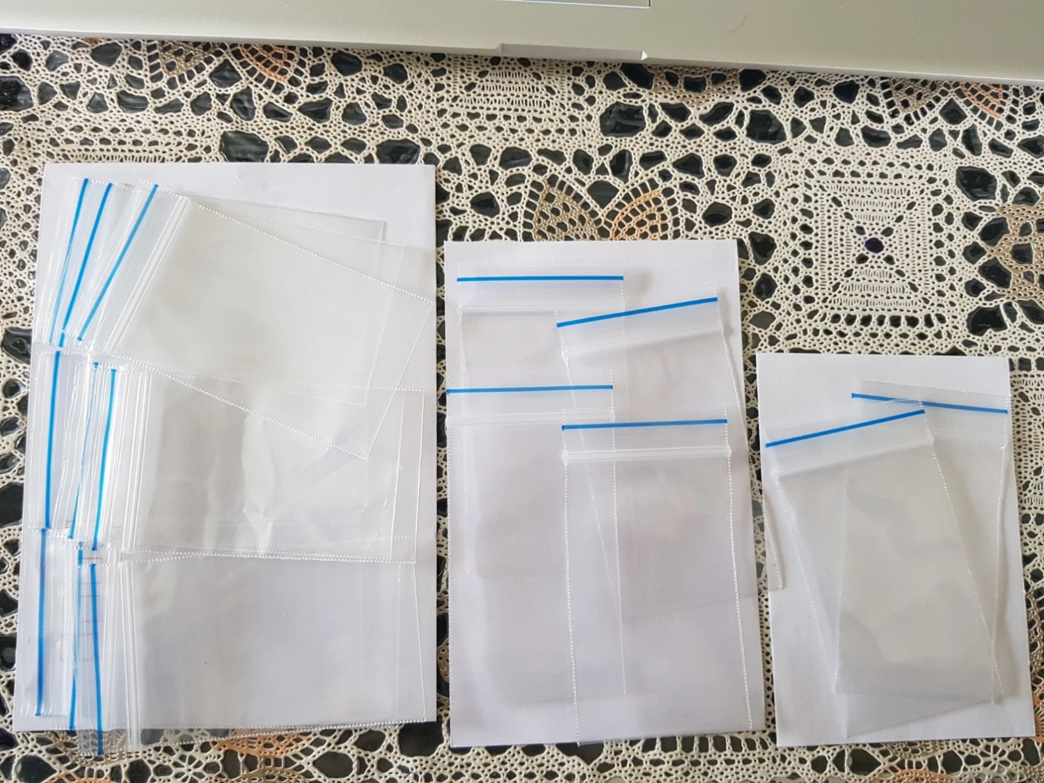 Organic Sun King Sunflower – Yellow Seeds 10 Organic Sun King Sunflower – Yellow Seeds - Image 8