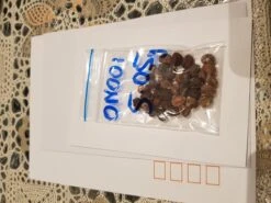 Plants Shop -Plants Shop 20201107 012418