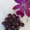 Purple Prince – C. Annum. Seeds -Plants Shop 20210221 105500 scaled 1