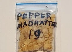 Organic Pepper Madhatter Seeds -Plants Shop 20230510 212150 1