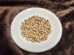 Coriander (Slow Bolt) Seeds