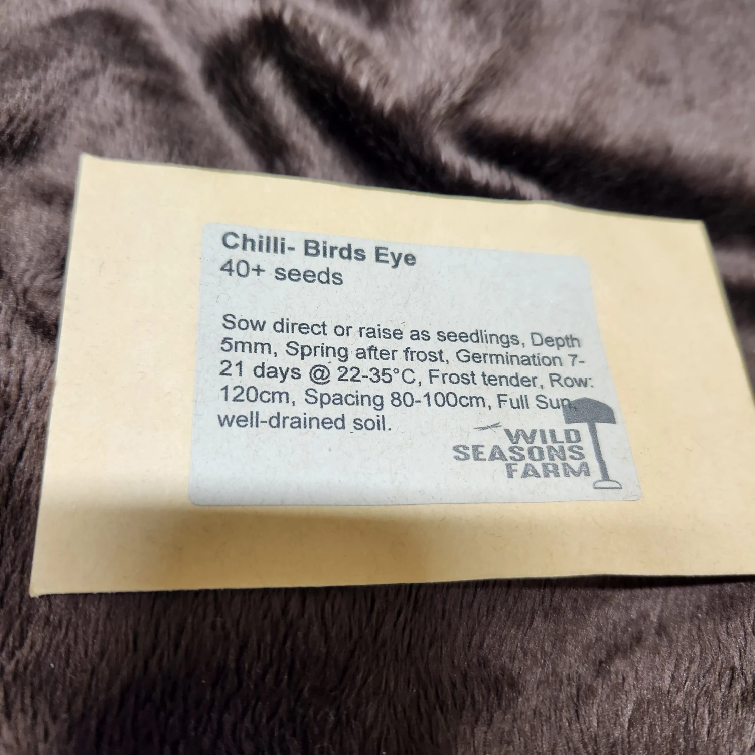 Chilli – Birds Eye Seeds 4 Chilli – Birds Eye Seeds - Image 2