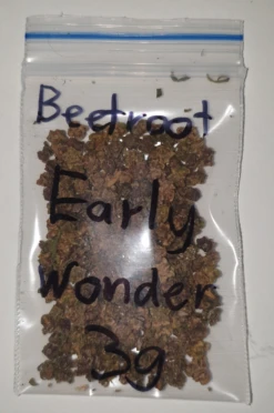 Plants Shop -Plants Shop 20240123 193601