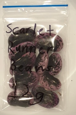 Organic Scarlet Runner Bean Seeds -Plants Shop 20240215 193812