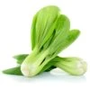 Bok Choy Seeds -Plants Shop 2206FBD8 7919 47D5 82D5 EE7EC7D29416
