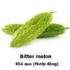 Bitter Melon Seeds -Plants Shop 240673851 999065667328947 5850567740703731604 n