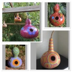 Birdhouse Gourd Seeds -Plants Shop 51D4C50F 948C 4481 957E DA747D1C5D86 scaled 1