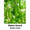 Melon Gourd Seeds -Plants Shop 728371B1 4FF7 4755 988B 7A1CD501163F
