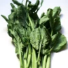 Chinese Broccoli / Kaillan / Cải Là m / Cải Rổ Seeds 1 Chinese Broccoli / Kaillan / Cải Là m / Cải Rổ Seeds -Plants Shop 8A252D5C DAE2 4DDB A028 C350A4098938 e1636785680794