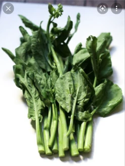 Chinese Broccoli / Kaillan / Cải Làm / Cải Rổ Seeds