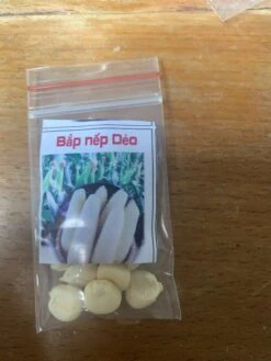 Sticky Corn ( Bắp Nếp) Seeds