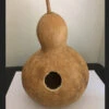 Birdhouse Gourd Seeds