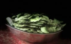 Organic Lablab Bean Vine Variety /Indian Bean/Avarakkai Seeds -Plants Shop AE93F112 942A 4CE5 8200 02BFB89F6DB7 scaled 1