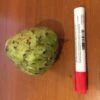 Other Custard Apple (Asian) Seeds -Plants Shop Asian custard apple 2