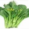 Flowering Choy Sum / Cải Ngồng Seeds -Plants Shop B00D03D5 38B5 4244 AE89 57214B5A5858