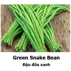 Snake Bean Seeds
