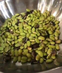 Organic Lablab Bean Vine Variety /Indian Bean/Avarakkai Seeds