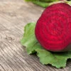 Beetroot Early Wonder Seeds -Plants Shop Beetroot Early wonder seeds