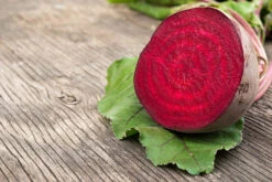 Beetroot Early Wonder Seeds