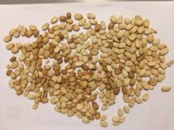 Bitter Gourd Seeds