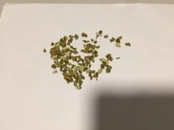 Other Calamansi Seeds