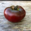 Carbon Tomato Seeds -Plants Shop Carbon tomato