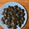 Shark Fin Melon/ Bí Vi Cá Seeds -Plants Shop EC1DA679 773E 46EF BBDA FFFAB9C5645C scaled 1