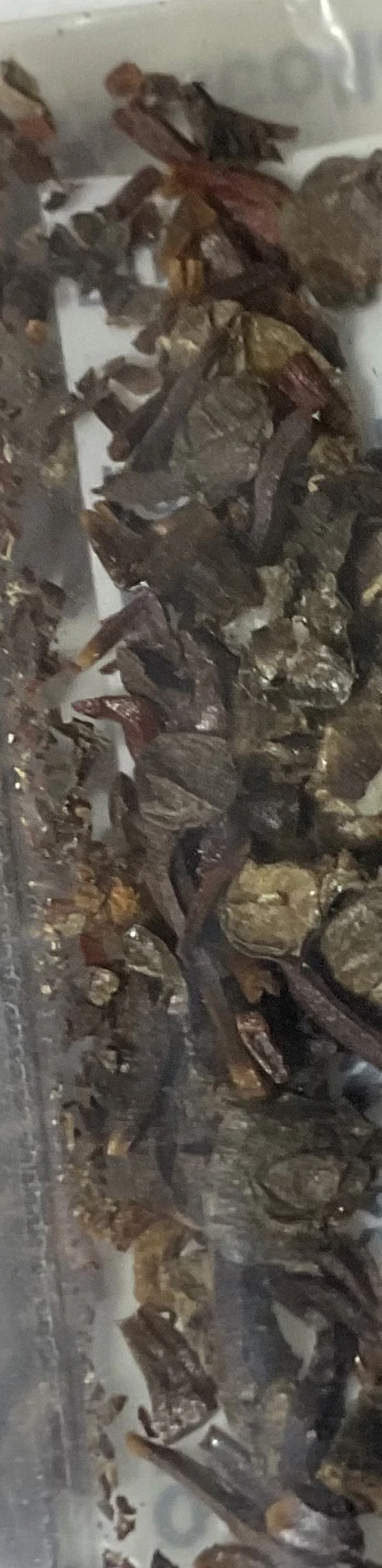 Eucalyptus Macrocarpa – Rose Of The West Seeds 7 Eucalyptus Macrocarpa – Rose Of The West Seeds - Image 5