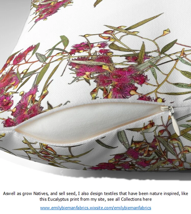 Melaleuca Viridiflora – Broad-Leaved Paper Bark Tea Tree Seeds 9 Melaleuca Viridiflora – Broad-Leaved Paper Bark Tea Tree Seeds - Image 7