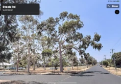 Eucalyptus Citriodora – Lemon Scented Gum, Salmon Trunk Seeds -Plants Shop Eucalyptus citriodoras at Gunnedah NSW 2022a 2