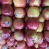 Other Fuji Apple (From Australian Apple Trees) Seeds -Plants Shop Fuji Apple 2 1