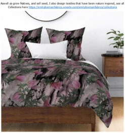Hibiscus Splendens – Pink Native Hibiscus Seeds -Plants Shop Hibiscus Textiles Hibiscus splendens Marbled