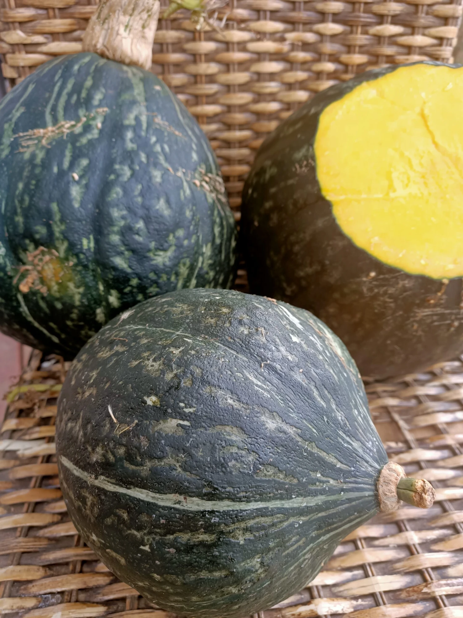 Ana Swartz Pumpkin Seeds 3 Ana Swartz Pumpkin Seeds