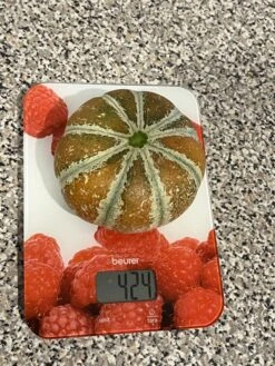 Kajari Melon / Indian Rockmelon Seeds -Plants Shop IMG 1100 scaled 1