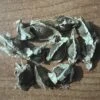 Other Moringa Seeds -Plants Shop IMG 1134 scaled 1