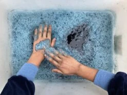 Other Indigo (Persicaria Tinctoria) Seeds -Plants Shop IMG 2709