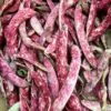 Climbing Beans – Speckled Cranberry Seeds -Plants Shop IMG 3139 scaled 1