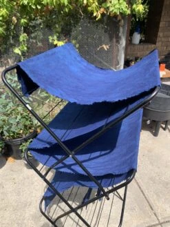 Other Indigo (Persicaria Tinctoria) Seeds -Plants Shop IMG 3149