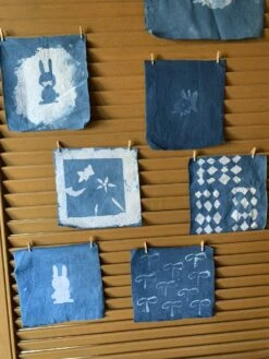 Other Indigo (Persicaria Tinctoria) Seeds -Plants Shop IMG 3501