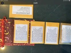 Sunflower Gift Pack Seeds