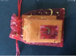 Sunflower Gift Pack Seeds -Plants Shop IMG 5011