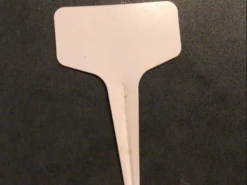 Sunflower Gift Pack Seeds -Plants Shop IMG 6505