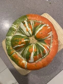 Turks Turban Squash Seeds -Plants Shop IMG 9267 scaled 1