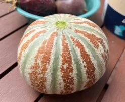 Kajari Melon / Indian Rockmelon Seeds