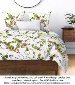 Ipomoea Quamoclit – Cypress Fern Vine, ‘pinkalishous’ Seeds 18 Ipomoea Quamoclit – Cypress Fern Vine, ‘pinkalishous’ Seeds -Plants Shop Ipomoea Textiles The Ipomoea story Pink Doona Cover