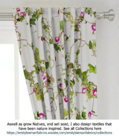 Ipomoea Quamoclit – Cypress Fern Vine, ‘pinkalishous’ Seeds 20 Ipomoea Quamoclit – Cypress Fern Vine, ‘pinkalishous’ Seeds -Plants Shop Ipomoea Textiles The Ipomoea story Pink curtains
