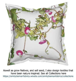 Ipomoea Quamoclit – Cypress Fern Vine, ‘pinkalishous’ Seeds 19 Ipomoea Quamoclit – Cypress Fern Vine, ‘pinkalishous’ Seeds -Plants Shop Ipomoea Textiles The Ipomoea story Pink cushion